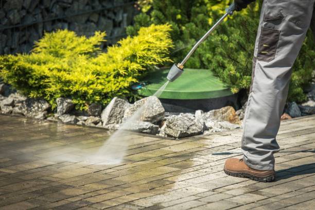 Best Pool Deck Cleaning  in Los Ranchos, CA
