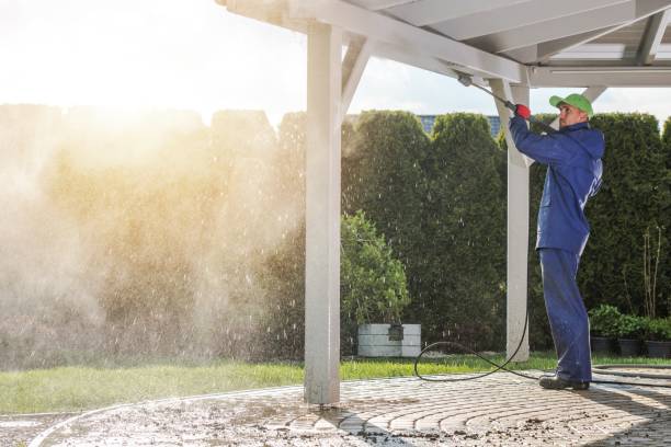 Best Paint Preparation  in Los Ranchos, CA