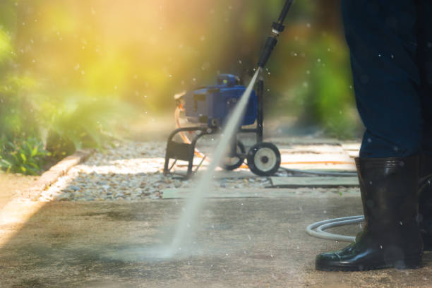 Best Animal Enclosure Cleaning  in Los Ranchos, CA